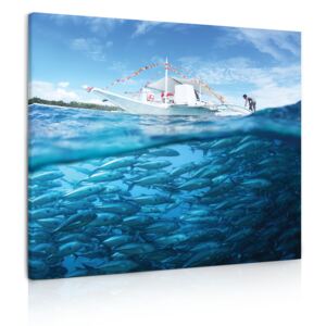 InSmile ® Obraz hejno ryb Velikost (šířka x výška): 50x50 cm