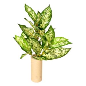Umělá Mramornatka zelená, 45 cm