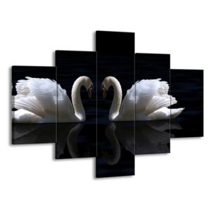 Vícedílný obraz Láska dvou labutí 100x70 cm