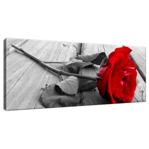 Obraz na plátně Červená růže 100x40cm S-1138A_1I(P)