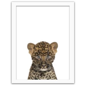CARO Obraz v rámu - Little Leopard 40x50 cm