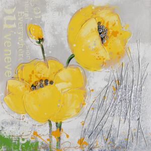 Falc Ručně malovaný obraz - Žlutý mák 2, 60x60 cm