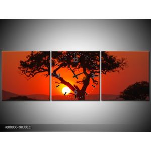 Obraz krásného stromu při západu slunce (F000006F9030CC)