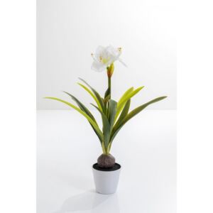KARE DESIGN Dekorativní rostlina Amaryllis White 78cm
