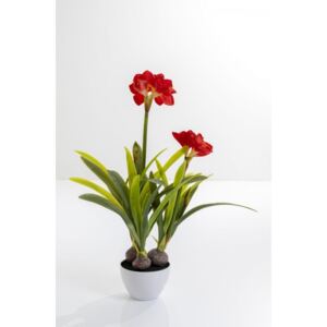 KARE DESIGN Dekorativní rostlina Amaryllis Red 98cm