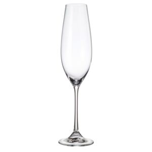 Crystalite Bohemia sklenice na šampaňské Columba 260 ml 6KS