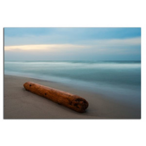 Pláž a dřevo C5156AO