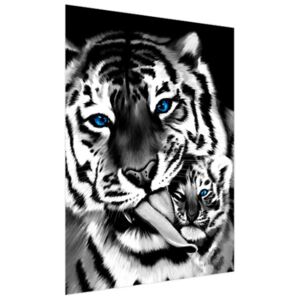 FototapetaČernobílý tygr a tygřík 150x200cm FT2574A_2M