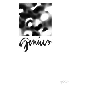 Plakát Genius 50 x 70 (kód TYDEN na -20 %)