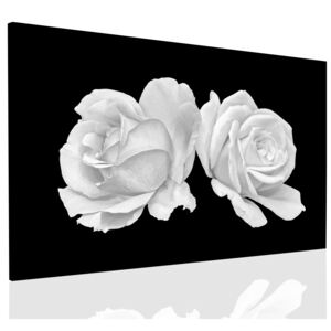 Obraz Růže + háčky, hřebíčky, čistící hadřík ZDARMA Velikost (šířka x výška): 90x60 cm