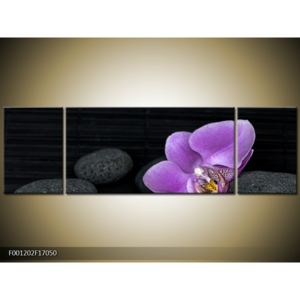 Černý obraz s orchidejí (F001202F17050)