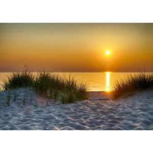 Postershop Fototapeta: Západ slunce na pláži (5) - 254x368 cm
