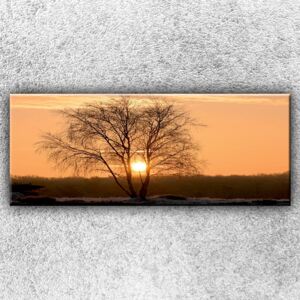 Silueta stromu (150 x 60 cm) - Jednodílný obraz