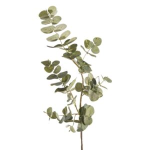 EUROFIRANY Eukalyptus, 87 x 27 cm