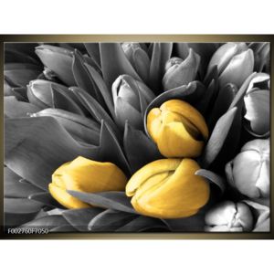 Obraz tří zlatavých tulipánů (F002760F7050)