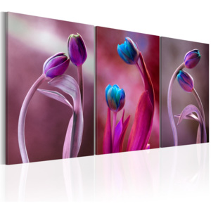 Obraz - Tulips in Love 120x60