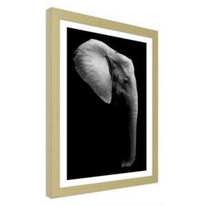 CARO Obraz v rámu - Elephant In Black And White 30x40 cm Přírodní