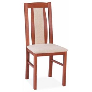 Jídelní čalouněná židle AZANO – masiv buk, nosnost 140 kg, více barev