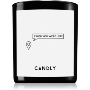 Candly & Co. vonná svíčka 250 g