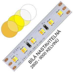 CTA LED pásek 3014 240 WIRELI 2x1000lm 19,2W 0,8A 24V (variabilní bílá)