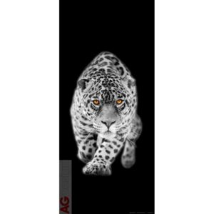 Vliesová fototapeta Leopard FTNV-2897 | 90x202 cm