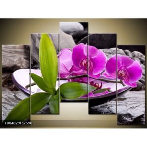 Moderní obrazy květin (F004029F12590)