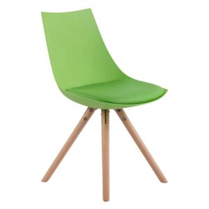 Jídelní židle Alba kůže, přírodní nohy (Jídelní židle Alba kůže, přírodní nohy, do 2 týdnů)