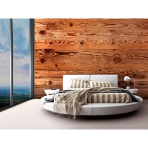 Rustikální tapeta dřevo + lepidlo ZDARMA Velikost (šířka x výška): 250x175 cm