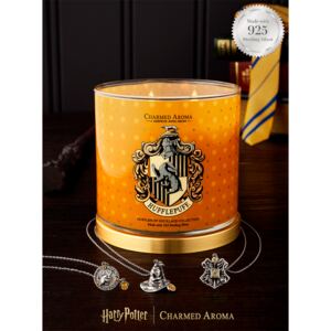 Charmed Aroma Vonná svíčka Harry Potter - Mrzimor (+náhrdelník) 340g