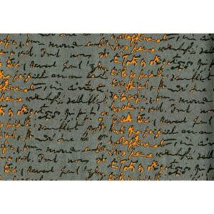 Novamur 6595-10 tapety na zeď TENDENCE | 0,53 x 10,05 m | černá, oranžová, šedá vliesová tapeta na stěnu 659510