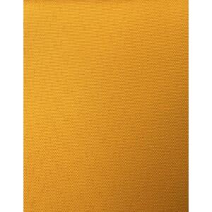Kočárkovina žlutá (žlutá 80021)