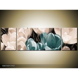 Obraz rozkvětlých tulipánů - tyrkysová bílá (F002543F17050)