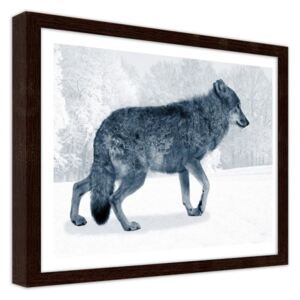 CARO Obraz v rámu - Gray Wolf 40x30 cm Hnědá