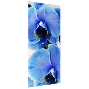 Samolepící fólie na dveře Modrá orchidej 95x205cm ND4757A_1GV
