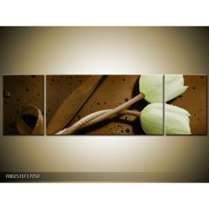 Obraz zelených tulipánů - hnědé pozadí (F002531F17050)