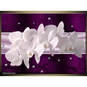 Obraz něžných orchidejí (70x50 cm)
