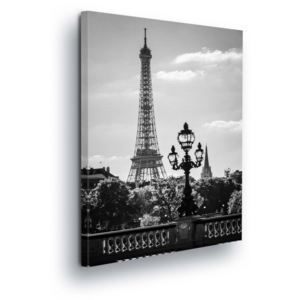 GLIX Obraz na plátně - Černobílá Eiffelova věž 80x60 cm