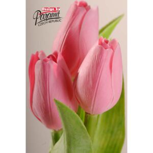 Paramit Umělý tulipán pastelově růžový