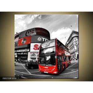 Obraz dvoupatrového autobusu (F002318F3030)