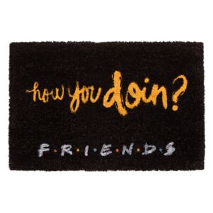 Rohožka Friends|Přátelé: How You Doin? (60 x 40 cm) černá