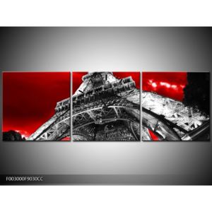 Obraz černobílé Eiffelovy věže (F003000F9030CC)
