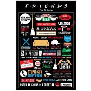 Friends Plakát Přátelé - Infographic
