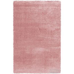 Chlupatý kusový koberec Dolce Vita 01RRR | růžový Typ: 67x110 cm