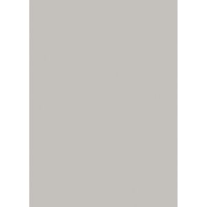 EGGER Pracovní deska perleťově šedá U763 ST76 Rozměr desky: 4100x600