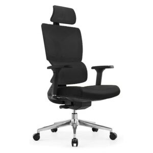 Kancelářská židle ERGODO CALLANI černá