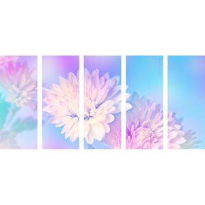5-dílný obraz květ chryzantémy