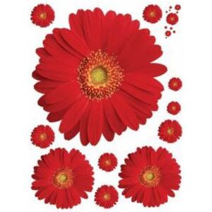 ZOOYOO Samolepka na zeď květiny - sedmikrásky červené 45 x 60 cm