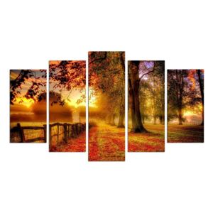 Vícedílný obraz Autumn Way 110 x 60 cm