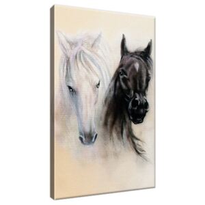 Obraz na plátně Black and White Horses 20x30cm 2502A_1S
