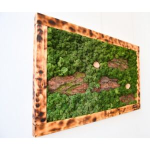Mechový obraz 100*61,5*4 - sobí mech a kůra - dřevěný rám opálený